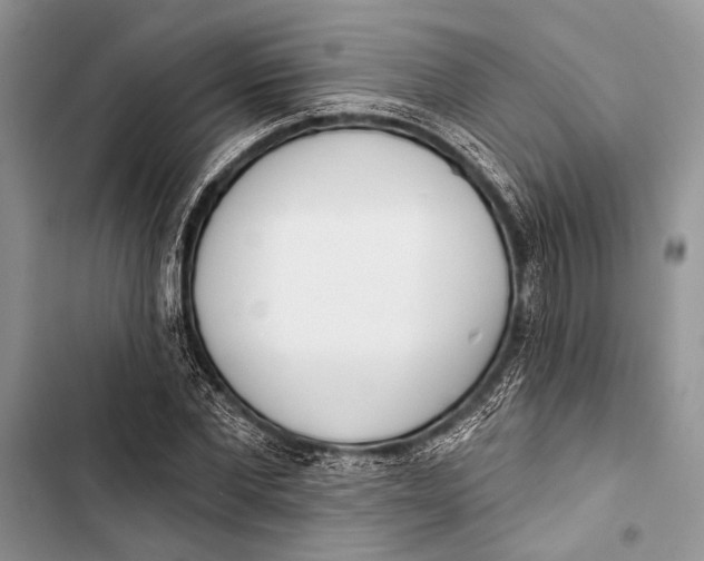 X0000103470877200810031518