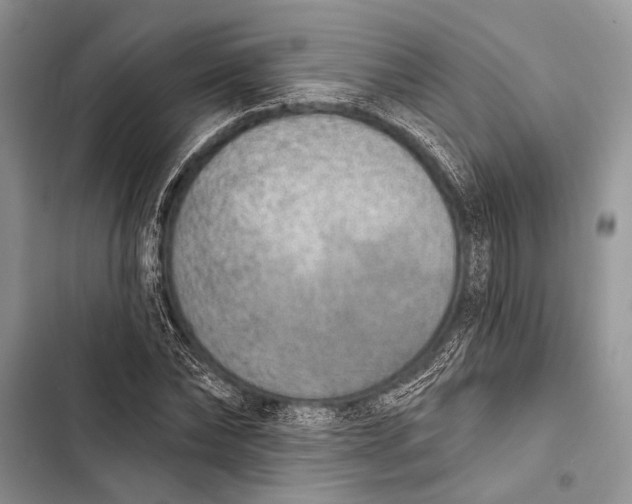 X0000103470878200810031518