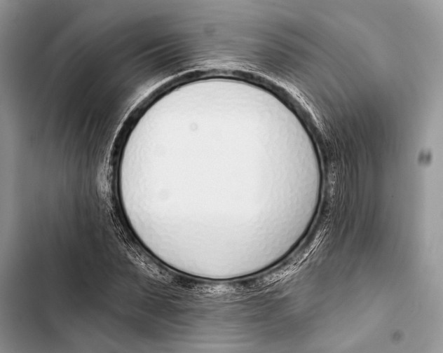 X0000103470879200810031518