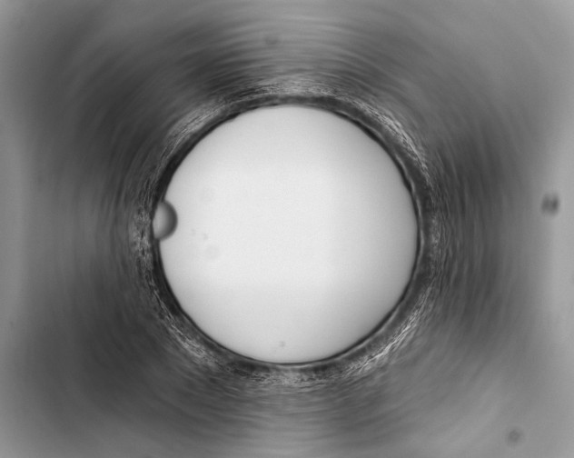 X0000103470881200810031517