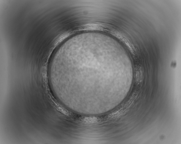 X0000103470882200810031517