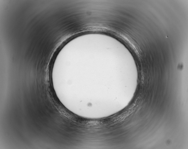 X0000103470883200810031517