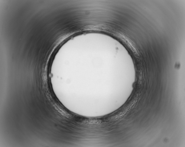 X0000103470884200810031517