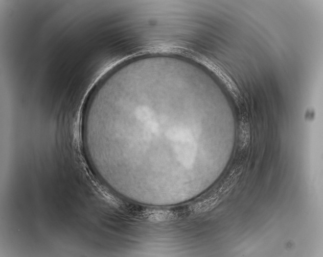 X0000103470886200810031517