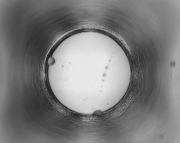 X0000103470887200810031517