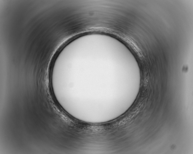 X0000103470888200810031517