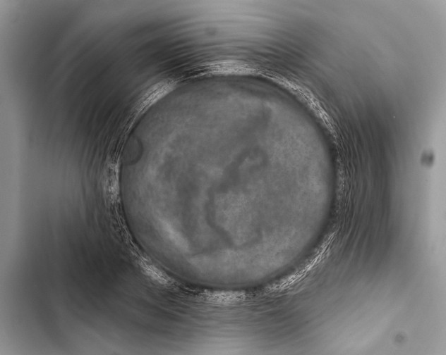 X0000103470889200810031517