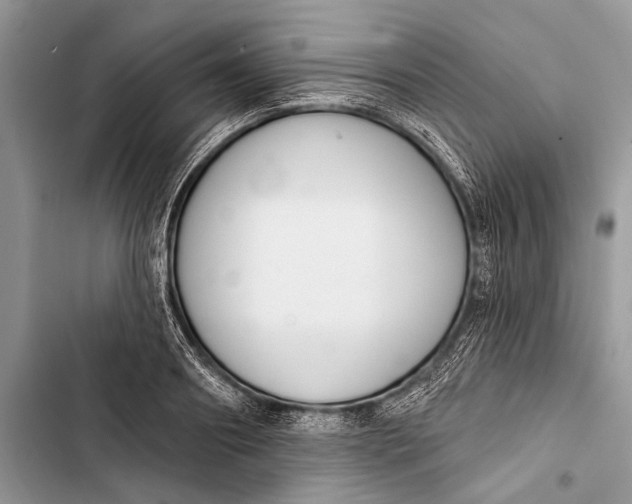 X0000103470890200810031517