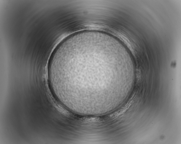 X0000103470891200810031517