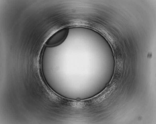 X0000103470893200810031517