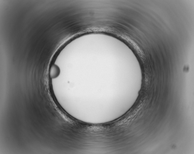 X0000103470894200810031517