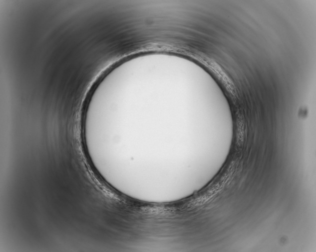 X0000103470896200810031517