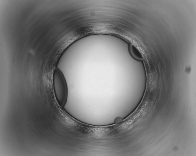 X0000103470897200810031517