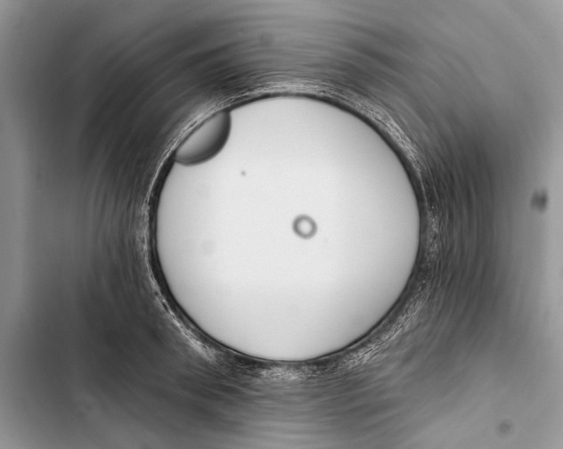 X0000103470898200810031517