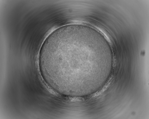 X0000103470899200810031517