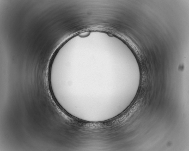 X0000103470902200810031517