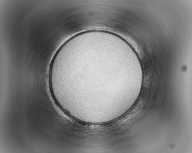 X0000103470903200810031517