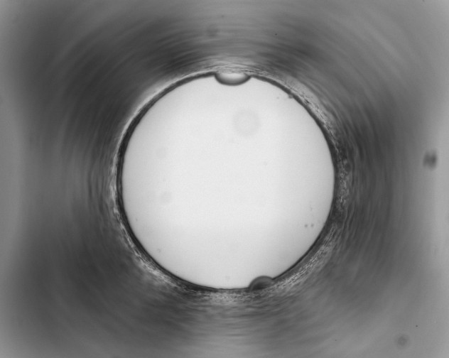 X0000103470904200810031517