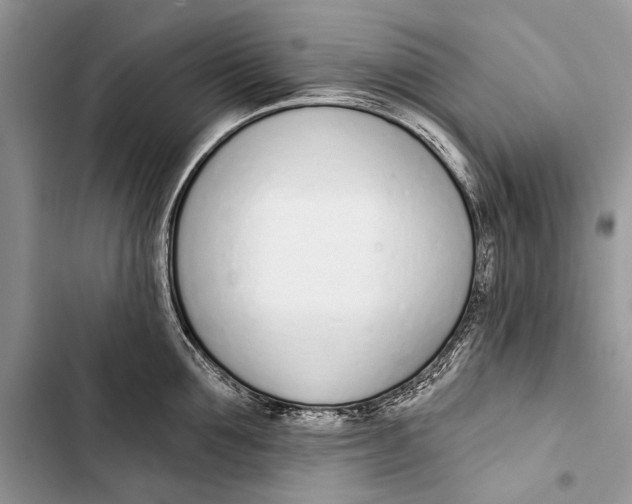 X0000103470907200810031517