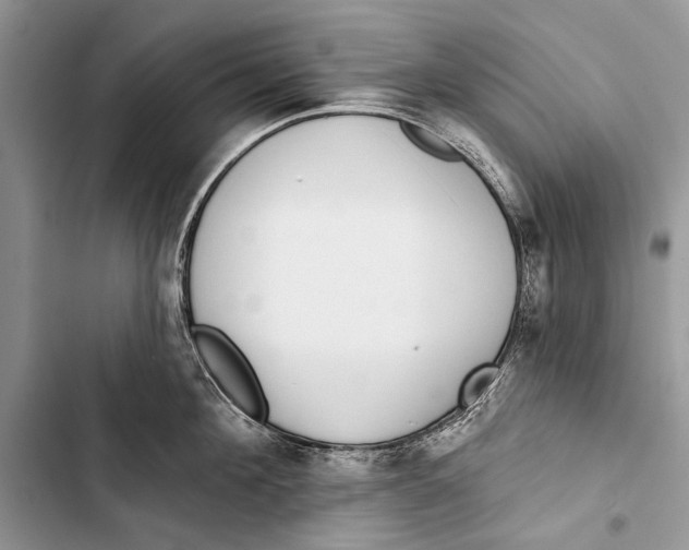 X0000103470908200810031517