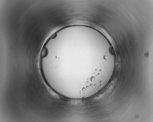 X0000103470909200810031517