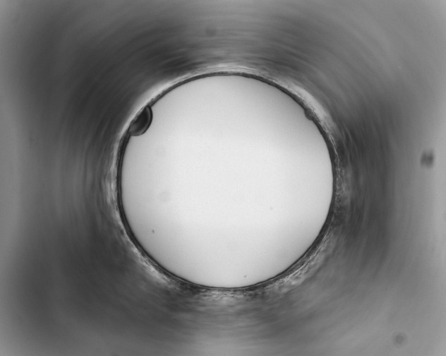 X0000103470910200810031517