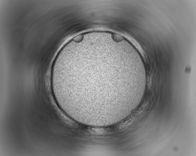 X0000103470911200810031517