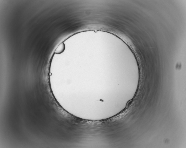 X0000103470912200810031517