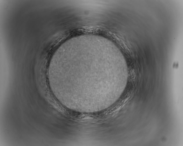 X0000103470913200810031516