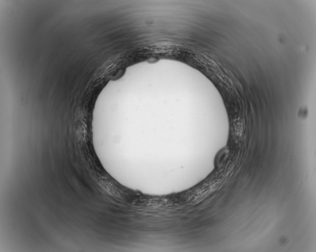 X0000103470916200810031516