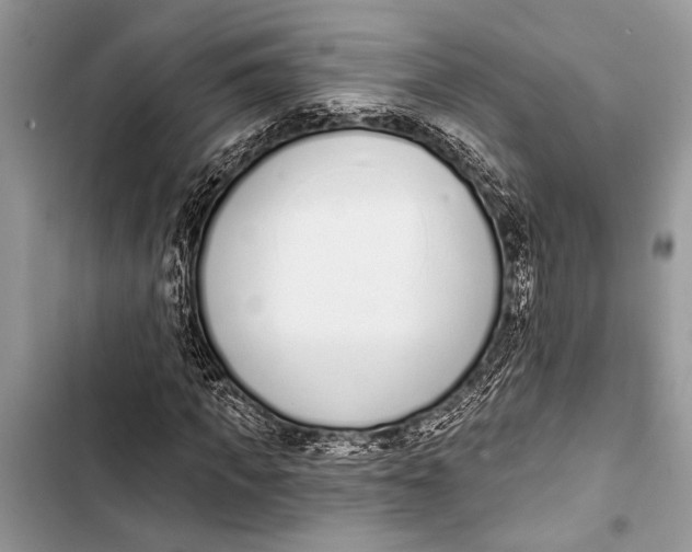 X0000103470917200810031516