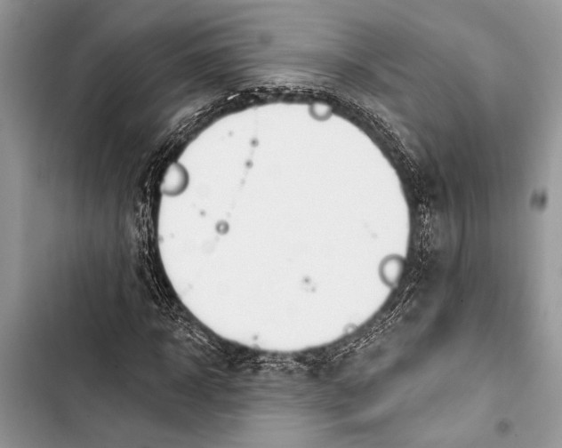 X0000103470918200810031516