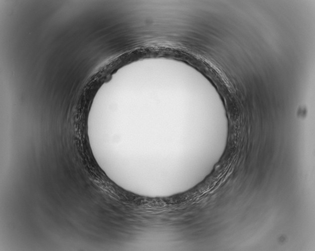 X0000103470919200810031516