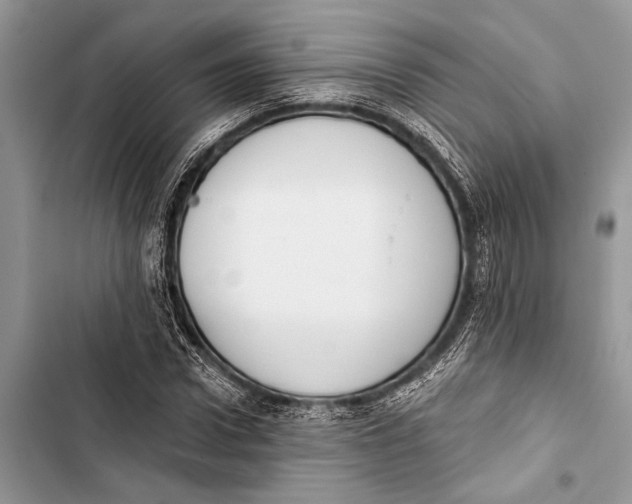 X0000103470922200810031516