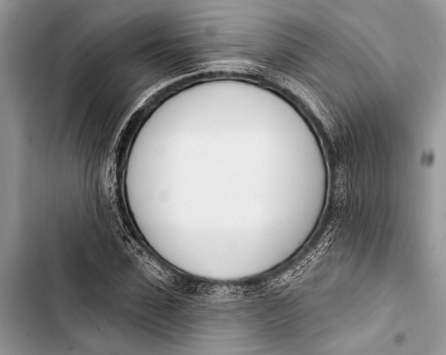 X0000103470923200810031516