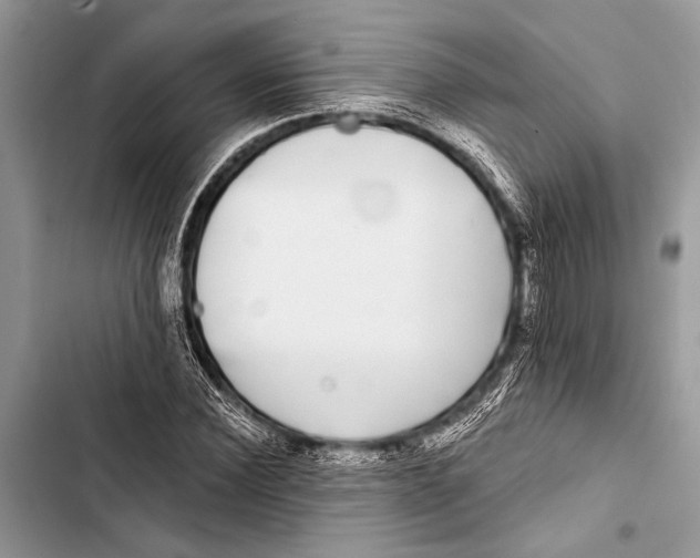 X0000103470924200810031516