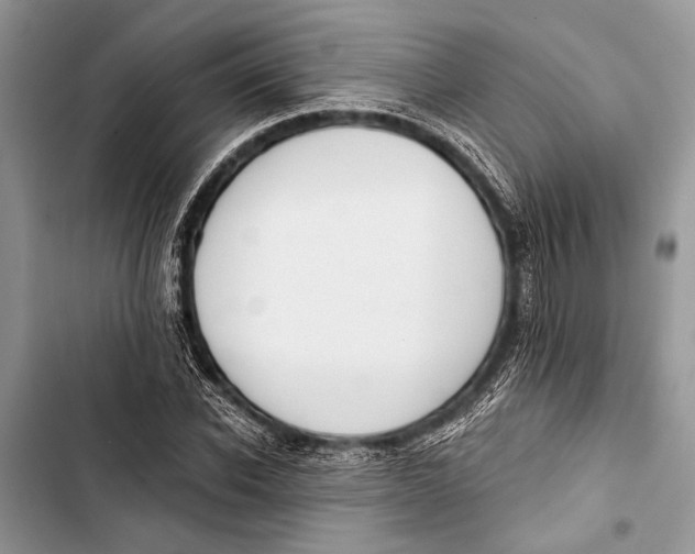 X0000103470926200810031516