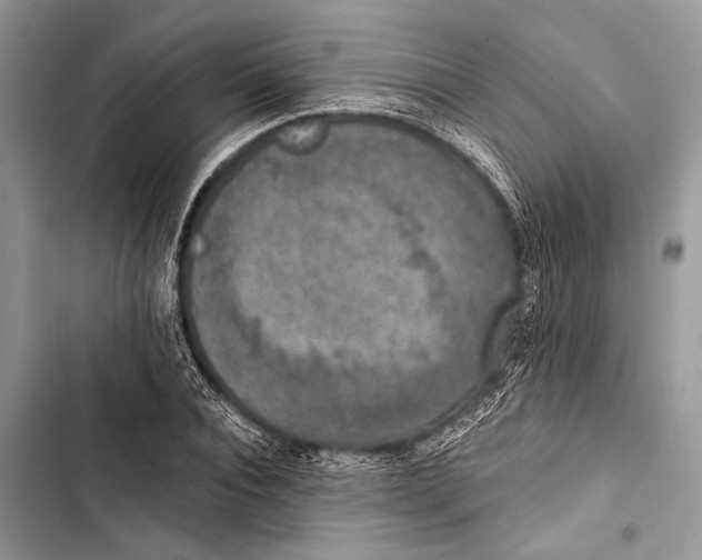 X0000103470928200810031516