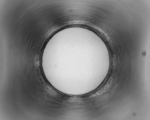 X0000103470929200810031516