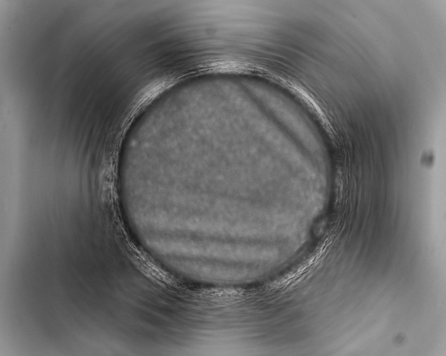 X0000103470930200810031516