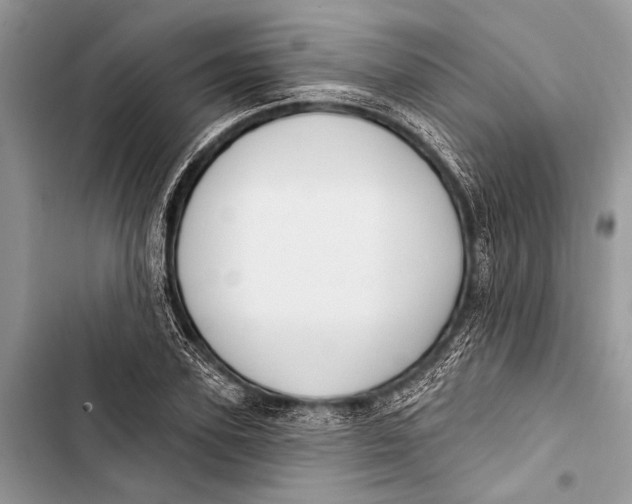 X0000103470931200810031516