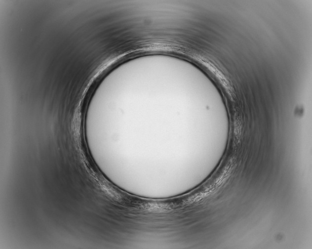 X0000103470933200810031517