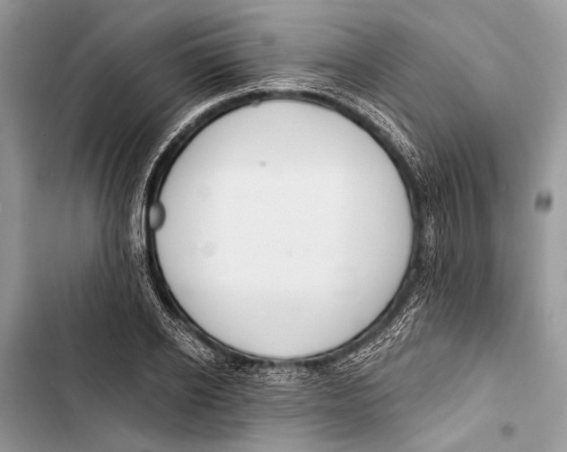 X0000103470934200810031517