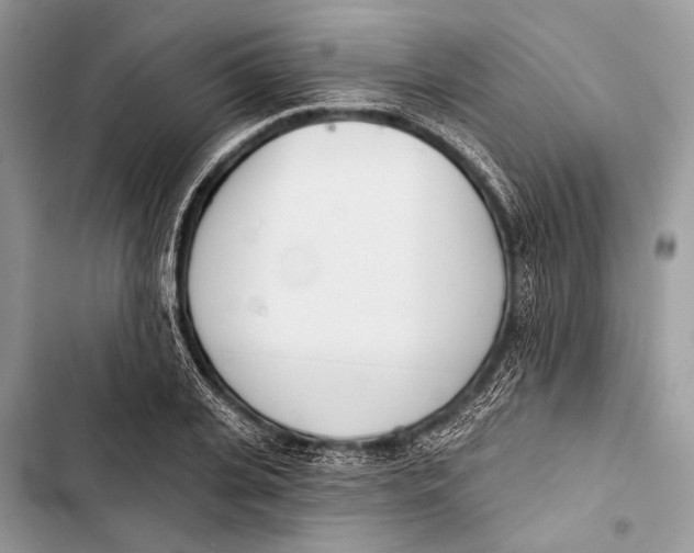 X0000103470935200810031517