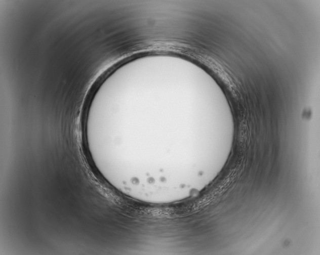 X0000103470936200810031517