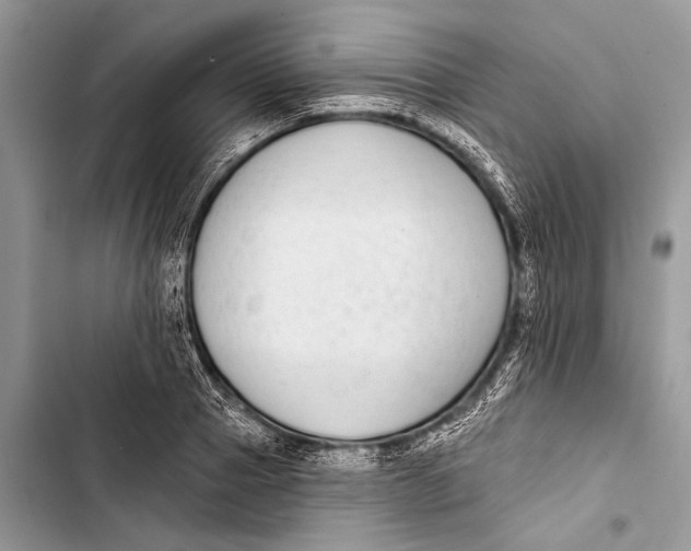 X0000103470937200810031517