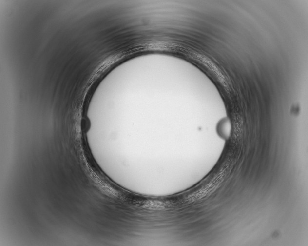 X0000103470938200810031517