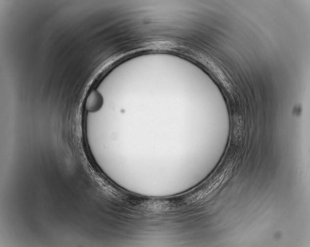 X0000103470939200810031517