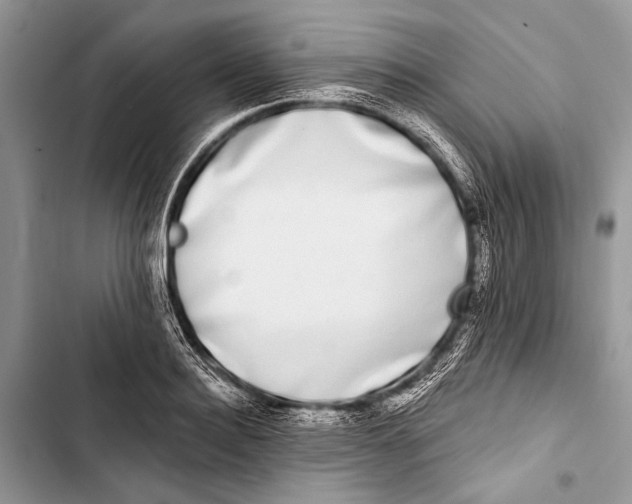 X0000103470940200810031517