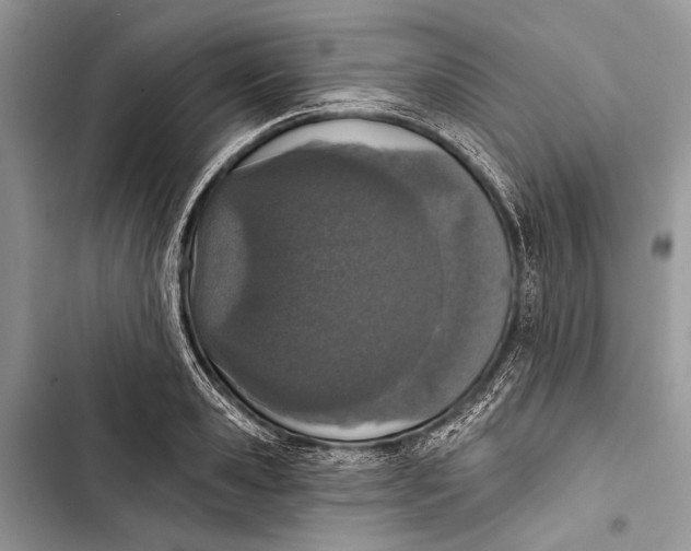 X0000103470941200810031517